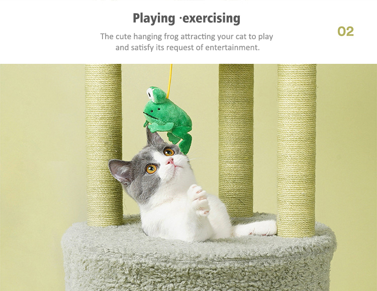 Playing and exercising